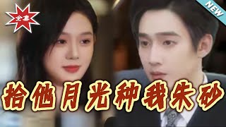 《拾他月光種我硃砂》