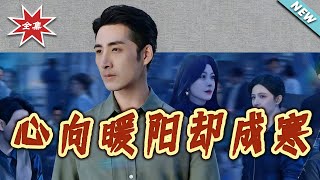 Heart Yearns for Warmth, Yet Encounters Cold