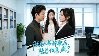 阮秘书辞职后，陆总他急疯了