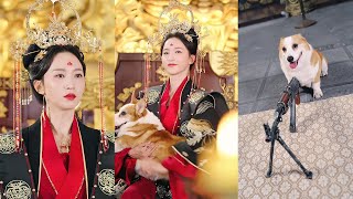 天界神仙變凡人：狗與女帝的秘密愛情