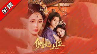 The Rise of the Concubine