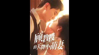 顾教授的天降小萌妻