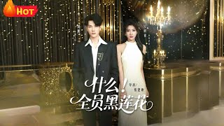 什么全员黑莲花