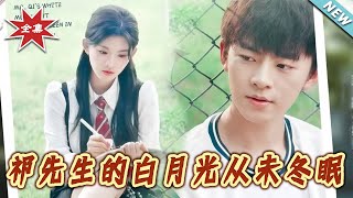 祁先生的白月光從未鼕眠