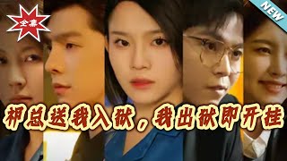 祁总送我入狱，我出狱即开挂