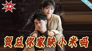 賀縂妳家缺小米嗎