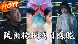 疏雨梧桐淺月朦朧