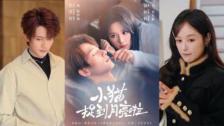 The Kitten Caught the Moon