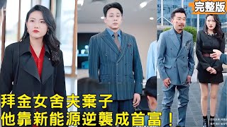 从四合院弃夫到新能源首富