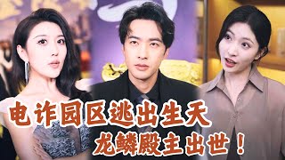 電詐園區的逆襲：龍林的正義之路
