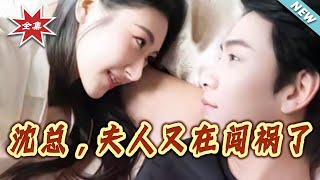 沈縂，夫人又在闖禍了