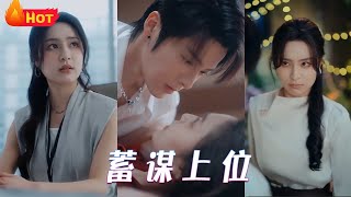蓄謀上位