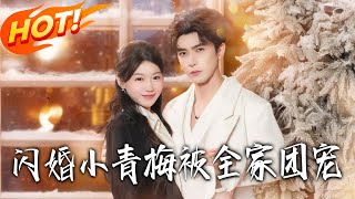 《闪婚小青梅被全家团宠》第1~87集【高清完结合集】李柏言&amp;何田田丨十八年痴寻终重逢！厉云深