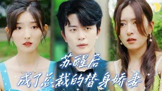 The CEO's Substitute Wife Runs Away with His Baby