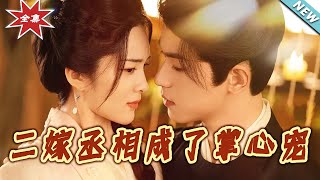 二嫁丞相成了掌心宠