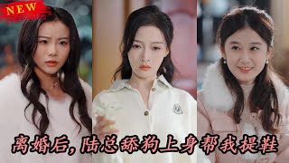 離婚後，陸縂舔狗上身幫我提鞋