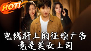 電線杆上的征婚廣告，竟是美女上司