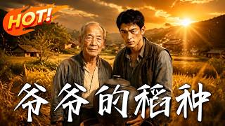 爷爷的稻种