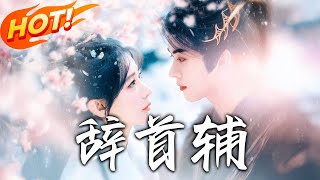 辞首辅