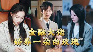 金融大佬，娇养一朵白玫瑰