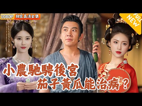 趙二虎的仙界奇遇