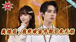 离婚后，我突破金丹期引来天劫