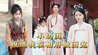 小奶团报道我在相府做团宠