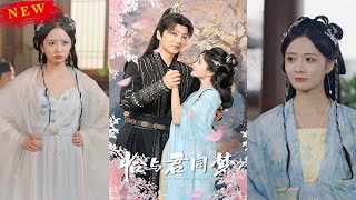 錯換攻略：皇城夢廻謝家春