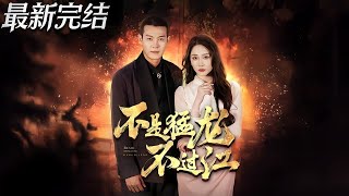 不是猛龍不過江