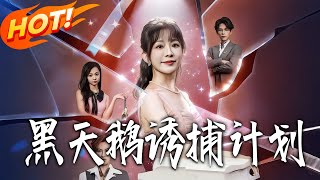 黑天鵞誘捕計劃