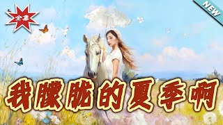 我朦朧的夏季啊