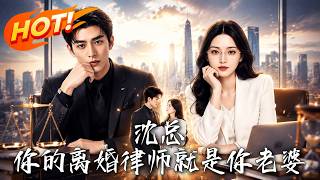 Mr. Shen, Your Divorce Lawyer Is Your Wife