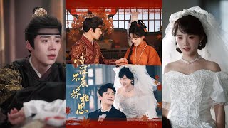 《情深不寿烬相思》