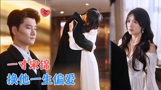 Weaving Love Pact: The Cold CEO and the Fabric Designer's Fake to Real Romance