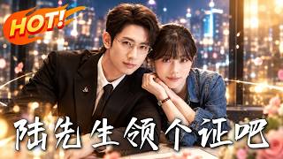 《陆先生，领个证吧》