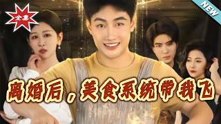 After Divorce, My Gourmet System Takes Me Flying