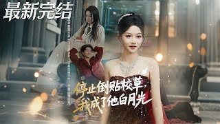 停止倒贴校草我成了他白月光