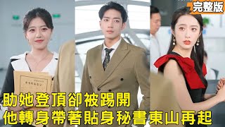 小伙回国从零开始扶持妻子律所登顶，却被她联手贫困生踢出局，離婚后她才知律所核心竟一直是他，而他带着贴