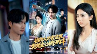 The Vegetative Wife Awakens: The Son-in-Law Sweeps Through Family Infighting