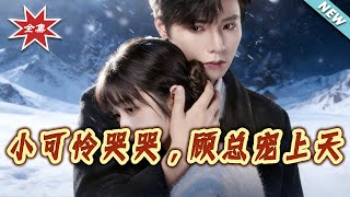 小可怜哭哭，顾总宠上天