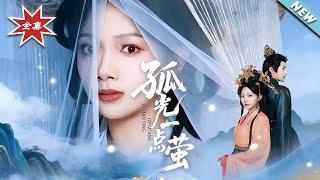 A Firefly's Lone Glow