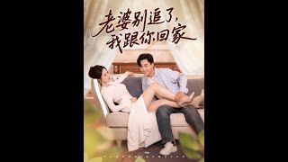 老婆别追了我跟你回家