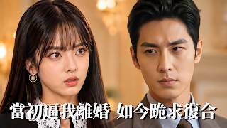 离婚后，我竟是千亿集团幕后大佬