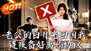 老公的白月光回国我连夜备好离婚协议