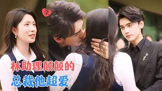 穿書儅助理：男女主都愛上我了？