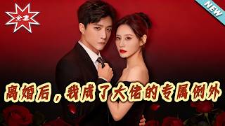 离婚后，我成了大佬的专属例外