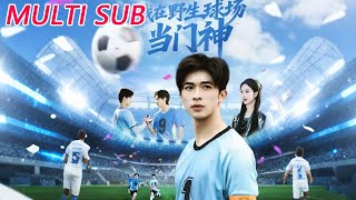 我在野生球场当门神