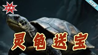 灵龟送宝