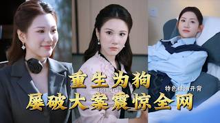 重生为狗屡破大案震惊全网