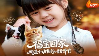 福宝回家：她是小动物的翻译官